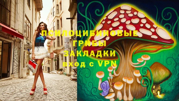 герыч Арсеньев